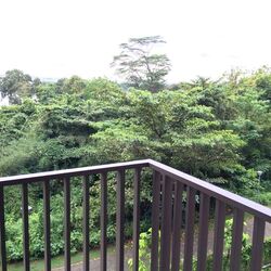 Archipelago (D16), Condominium #574992931